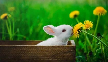 fb体育官网-社交媒体热议：谁是本赛季最耀眼的车手？