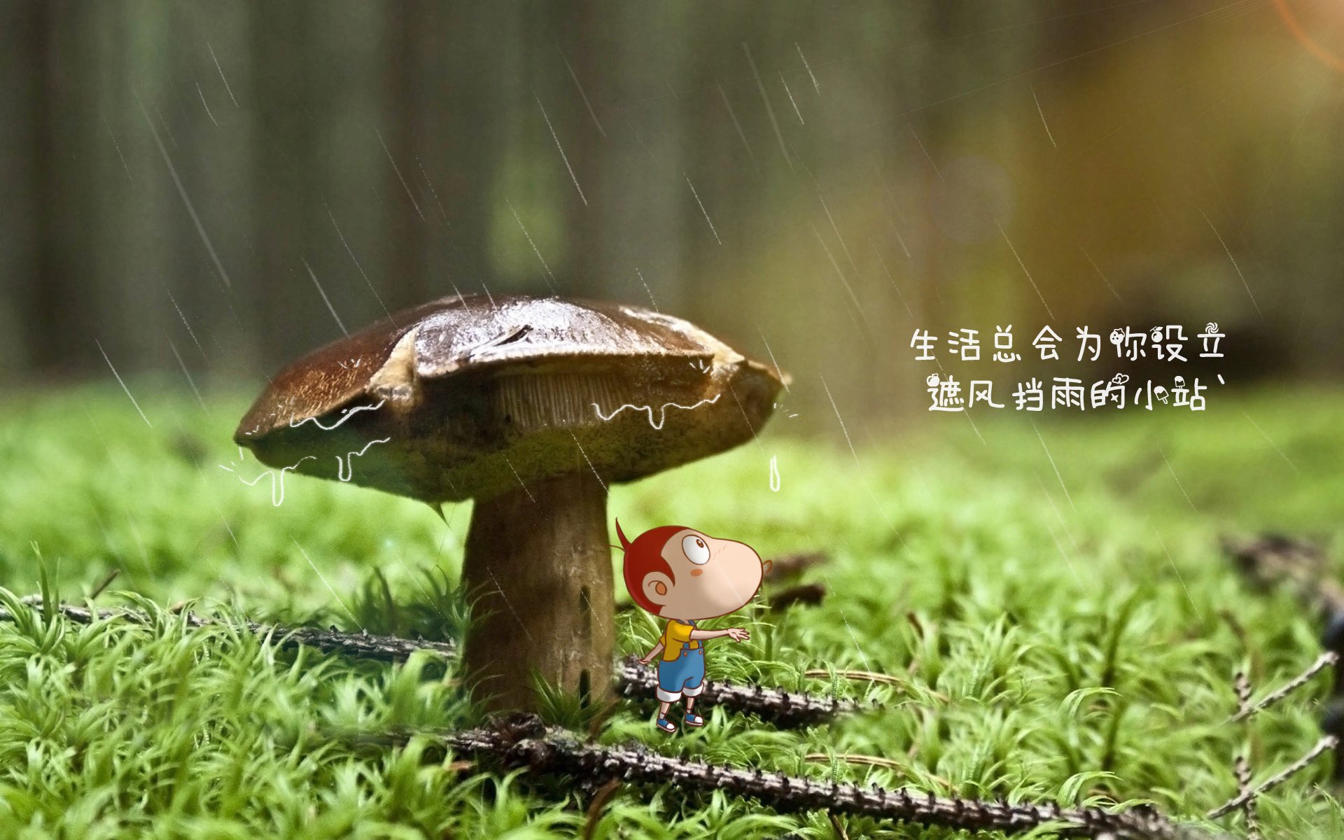 fb体育注册网址-摩洛哥队在巴黎奥运会男足比赛中表现出色，赢得奖项，摩洛哥男足世界排名