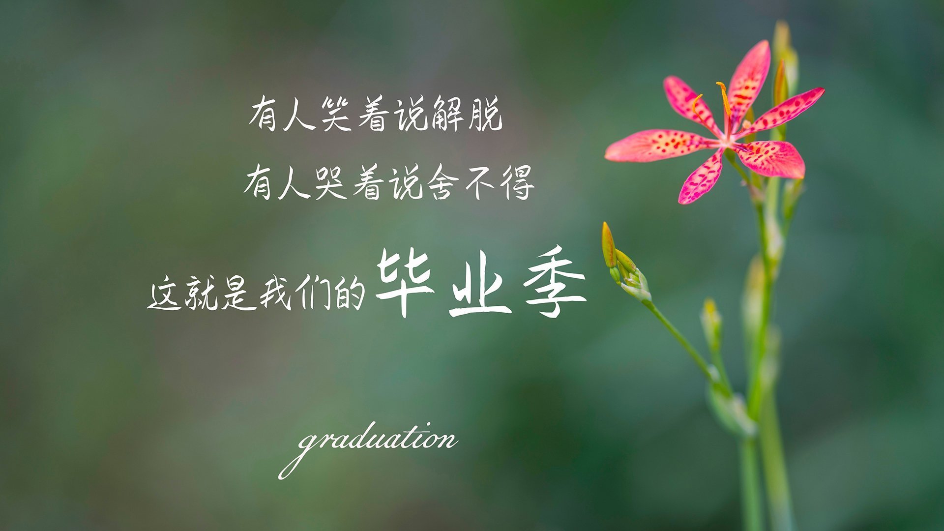 山东泰山锋线射手关键时刻发威，山东泰山阵型