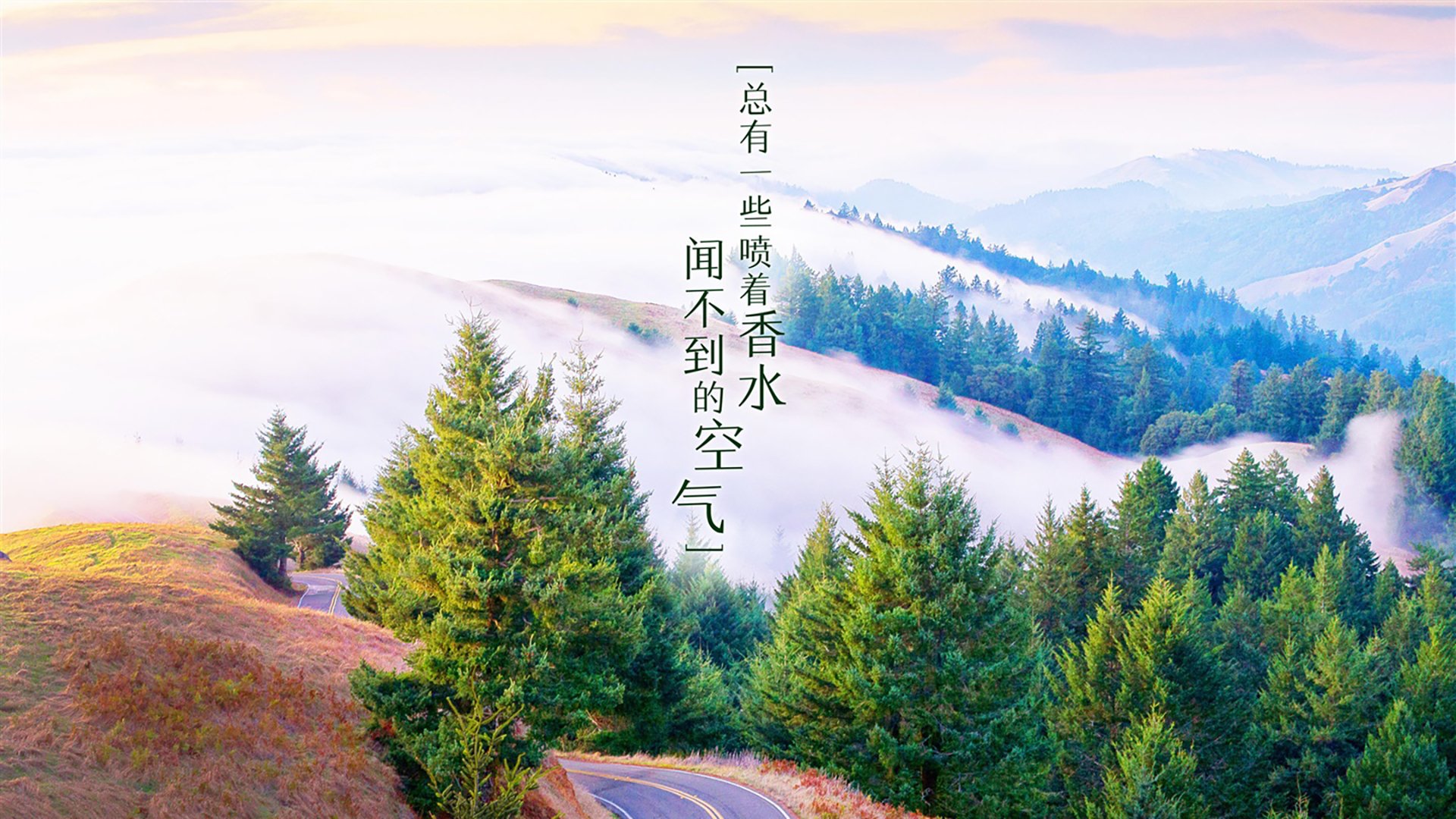 山东泰山锋线搭档状态火热，泰山的峰