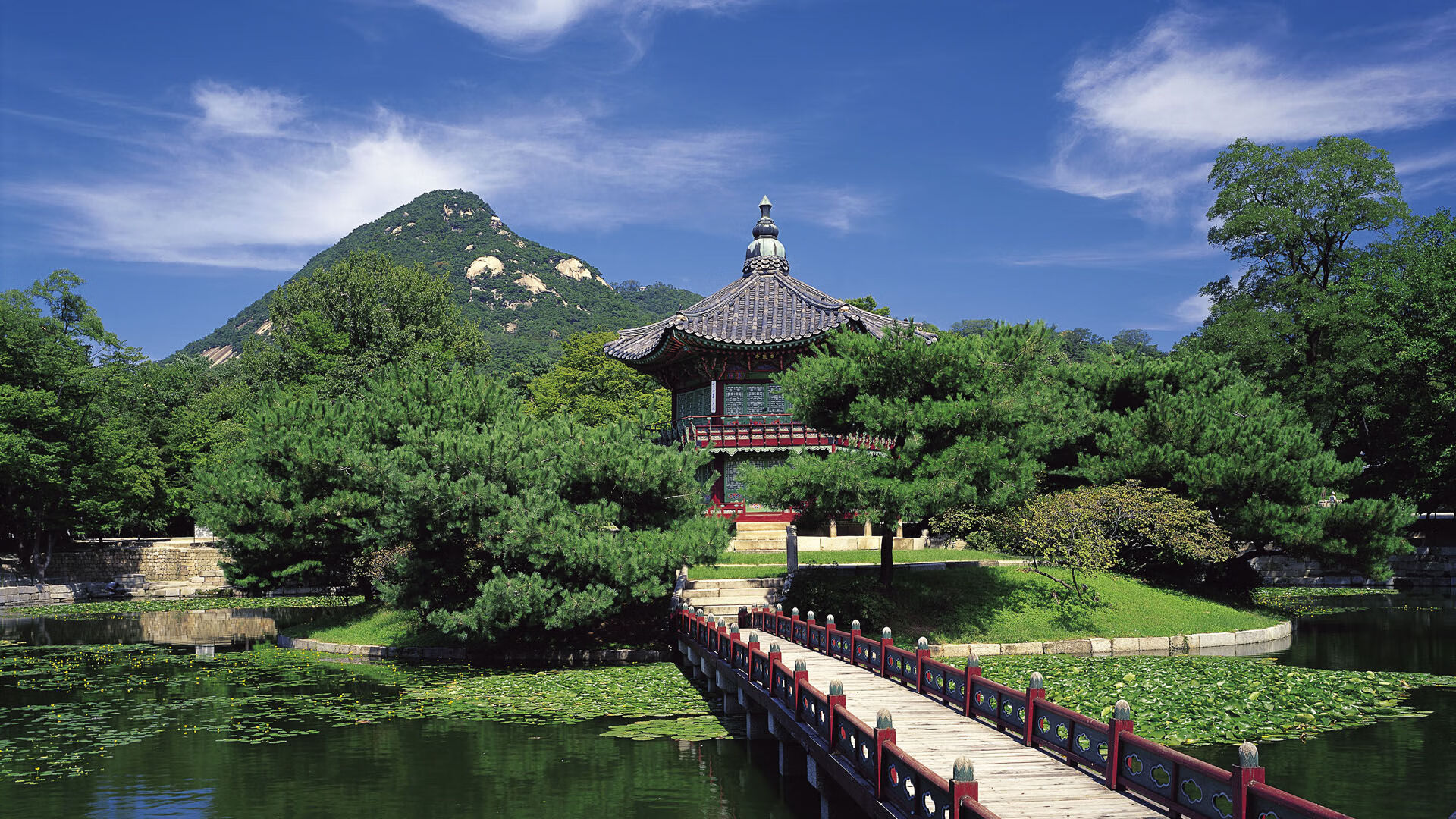 活动吸引了来自深圳市及周边地区的数百名青少年和市民参与。，吸引人的活动宣传语